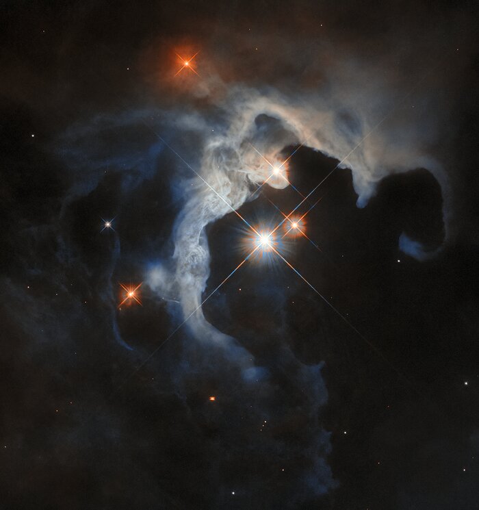 The young stars of Taurus