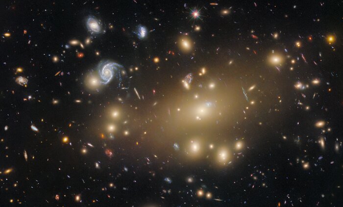 Portrait of a galaxy cluster