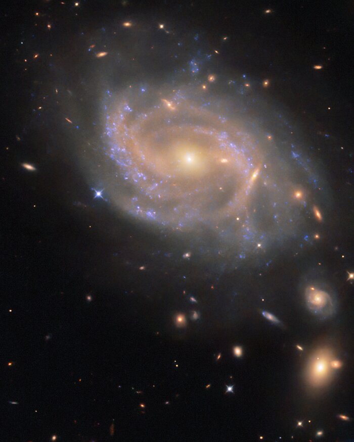 Swirling spiral in Hydra
