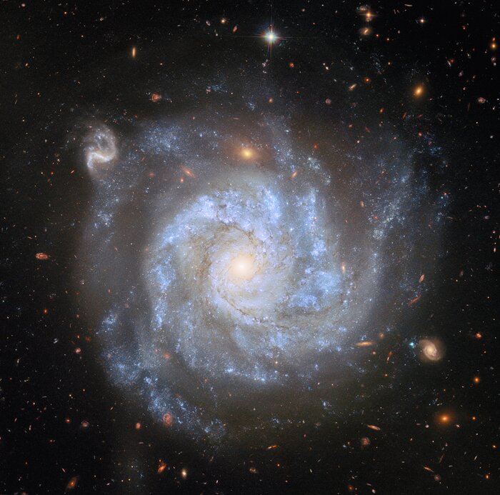 A supernova-rich spiral