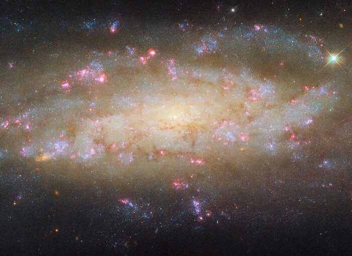 A galaxy with lots to see