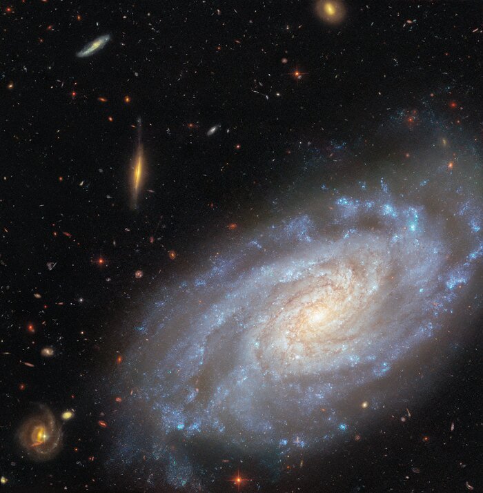 NGC 3370 (wide view)