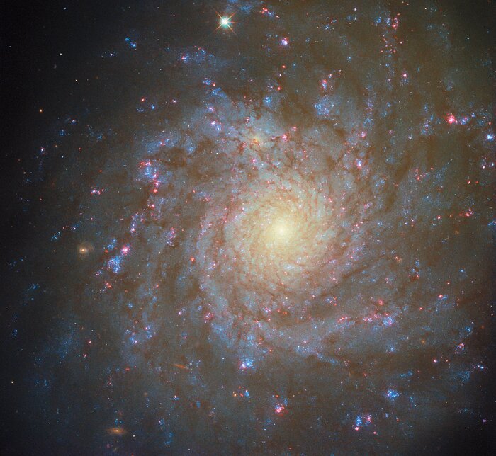 Spiralling star factory