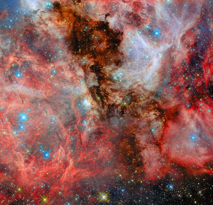 A neighbouring vista of stellar birth