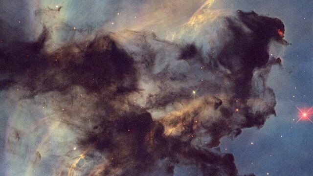 Pan: Rosette Nebula