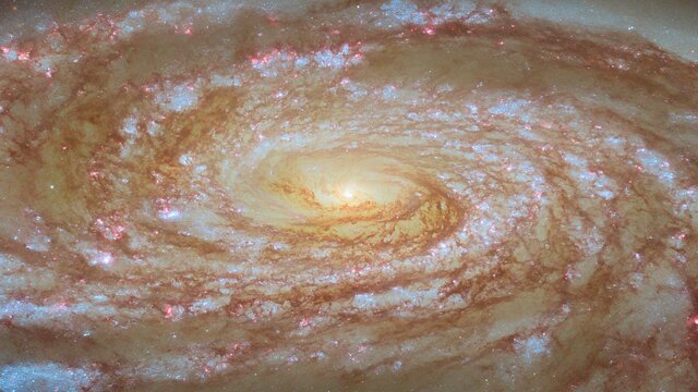 Pan video: M88