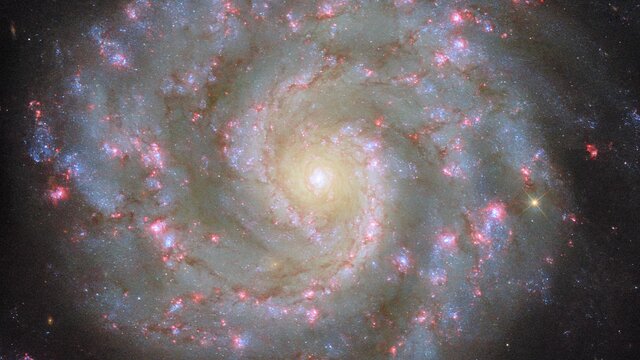 Pan video: NGC 3596