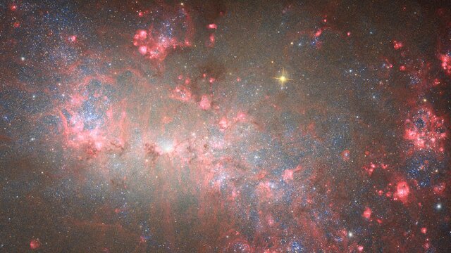 Pan: NGC 4449