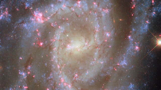 Pan: NGC 2835