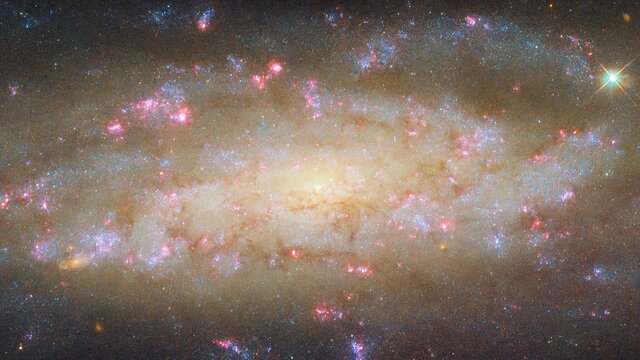 Pan: NGC 7456
