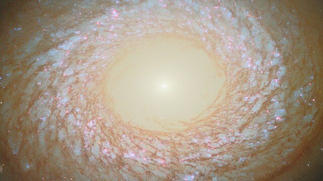 Pan: NGC 2775