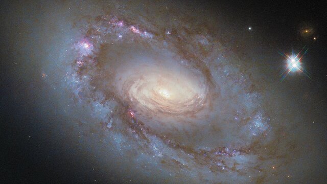 Pan: NGC 4102